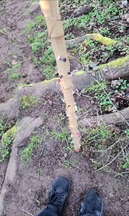 Custom Copper and Crystal Grounding Rod - Image 3